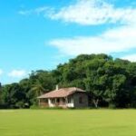 Diligência de terras: mais segurança em operações com imóveis rurais